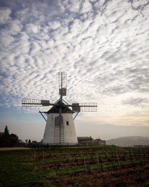 Die Windmühle in Retz mit atemberaubenden Himmel #retz, #windmühle, #windmill, #weinviertel, #loweraustria, #vineyards, #sky, #clouds, #austria🇦🇹 Retz