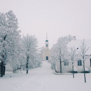 Ein Rückblick ins Museumsdorf Niedersulz ❄️☃️ Dieses romantische Foto aus dem winterlich verschneiten Weinviertel ist letzten Winter...