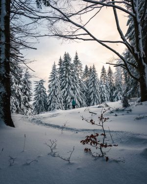 So märchenhaft präsentiert sich der @naturparkoetschertormaeuer im Winter. 😍❄️ PS: Die Landschaft eignet ...