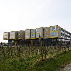 オーストリアの素敵なワインホテル。ウィーンから車で約1時間。デザイン性の高い建物はぶどう畑に囲まれている🍇写真は4月のぶどう畑。 気に入って2回訪問🏨❤ #loisium #winehotel #ワインホテル #kamptal #カンプタール #langenlois #ランゲンロイス #niederösterreich #ニーダーエスタライヒ #winestagram #winelover #ワインエキスパート勉強中 #ワイン好きな人と繋 LOISIUM WeinWelt