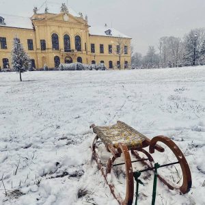 #schneezauber Jede Jahreszeit hat seinen Reiz! ❄ Frischer Schnee hat den Schlosspark in ein winterliches Wunderland verwandelt....