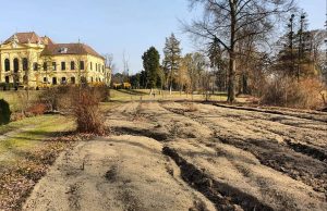 #schlossparkarbeiten 🚧🌳 Wer in letzter Zeit den Schlosspark von Eckartsau besucht hat, dem wird aufgefallen sein, dass...