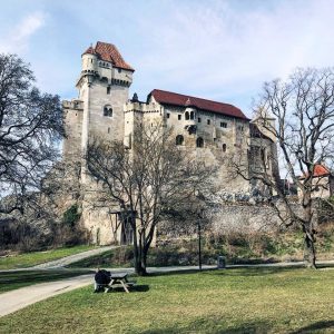 liechtenstein castle, lower austria. #weekendvibes #mariaenzersdorf #castle #hiking #12thcentury #romanroots #daywalk #saturdayz #southofvienna #favwalkswithfavpeople #hikinglove #nearlyspring #march...