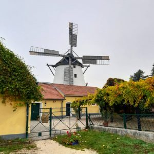 Eine von zwei Windmühlen, die in Österreich noch in Betrieb sind. Liegt mitten in der idyllischen Landschaft...
