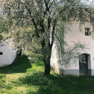 Wunderbare Nachrichten aus dem Weinviertel: Das @museumsdorf Niedersulz öffnet am 3. Mai wieder 😊🌸übrigens, alle geöffneten CARD-Ausflugsziele...
