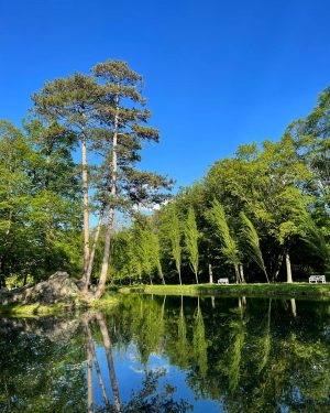 #schlossparklaxenburg #schlosspark #niederösterreich #laxenburg #österreich #austria #nature #naturephotography #trees Schloss Laxenburg