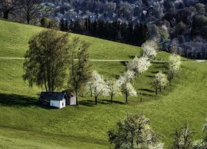 #austria #austria🇦🇹 #österreich #photooftheday #beautiful #picoftheday #pictureoftheday #nature #fotografie #foto #picture #wiesnernews #protechfoto #landscape #landschaftsfotografie #hobbyfotografie #nikon...