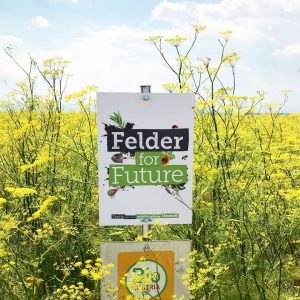 Jeder 4.Hektar in Österreich wird bereits biologisch bewirtschaftet, das ist wunderbar! 🌿 Aber wie sieht es mit...