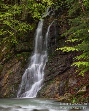 Kleiner unscheinbarer Wasserfall. - #niederösterreich #mostviertel #waterfallphotography #waterfalls #waterinmotion - #woodland #woodlands #woodlandphotography #forest #trees #naturetrail #nature...