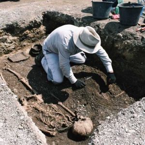 #savethedate 🏺 👉 Aktuelle Ergebnisse archäologischer Forschungsprojekte geben renommierte Wissenschaftler*innen beim Tag der NÖ Landesarchäologie am 12....