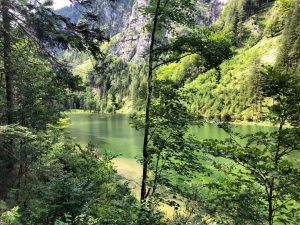 Familienausflug 2.0 👫🐶 #3seentour #lunzersee #lunzamsee #wandern #hiking #österreich #mostviertel #niederösterreich #tagesausflug #wandernmithund #gebirgswasser #mitdem♡Mann und dem...