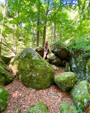 Druidenweg 🪨🪵🧝🏻🧝🏻‍♀️ #ysperklamm #druidenweg #loweraustria #austria #hiking #druid #stoneformations #forest Ysperklamm