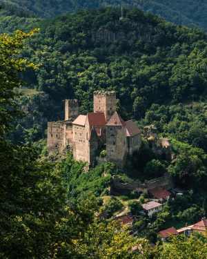 Burg Hardegg . . . . . . #castlesoftheworld #castlwood #visitaustria #summer #austria #austria🇦🇹 #igersaustria #1000thingsinaustria #wandern...