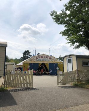 Seit 2021 hat der zirkus kollektiv kaudawelsch die pädagogische Leitung in der Circusluft Drosendorf übernommen. Während der...