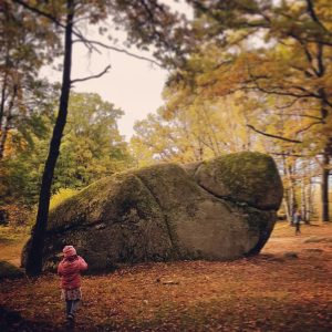 🗻🏞 #naturdenkmal #gmünd #niederösterreich #malerwinkel #waldidylle #wandern #fotografieren #granitfelsen #sehrgroß #stone #naturephotography 📸 ...