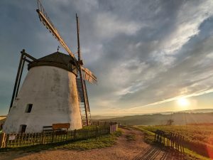 #windmill #windmühle #retz #retzerland #homesweethome #goldenhour #autumn #sunset #pixel6a #pixelphotography Windmühle Retz