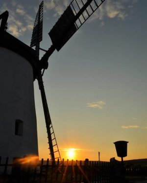 😍 . #weinviertel #wein4tel #windmühle #windmill #landmark #sonnenuntergang #sunset #sunsetlovers #sunsetsofinstagram #sunsetphotography #sunset_pics #sunsethunter #ausblick #view #amazingview...