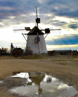 ☁️☁️☁️ . #weinviertel #wein4tel #windmühle #windmill #landmark #ausflugsziel #travelinspiration #mirror #spiegelung #clouds #cloudyday #niederösterreich #meinniederösterreich #visitaustria #landscapephotography...