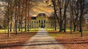 #historischernovember Schloss Eckartsau ist mit den letzten Tagen der Donaumonarchie eng verbunden.👀 ⭐11.November 1918: Kaiser Karl verzichtet...