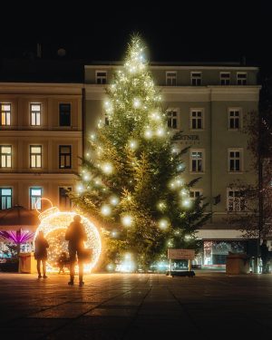 Hell erstrahlen der Christbaum und die weihnachtliche Selfiekugel im Wohnzimmer unserer Stadt 🎄✨ Bei dieser wunderschönen Tanne...