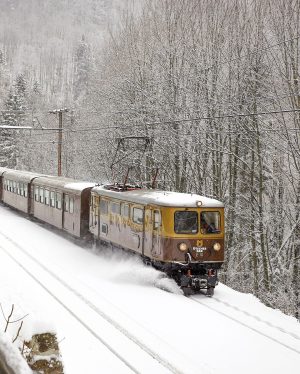 Unser Ötscherbär kurz vor dem Winterschlaf ❤️ #niederösterreichbahnen #mariazellerbahn #Ötscherbär 📷NB/Gozdal
