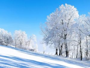 #blassenstein #scheibbs #mostviertel #loweraustria #niederösterreich #winterwonderland #winter #snow #hiking #wanderlust #wandern #exploreaustria #discoveraustria #nature #naturephotography #bluesky Scheibbs