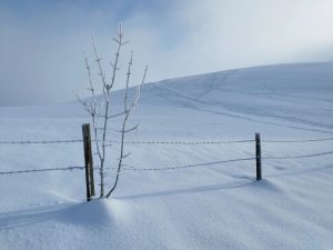 #blassenstein #scheibbs #mostviertel #loweraustria #niederösterreich #snow #winter #winterwonderland #hiking #wandern #wanderlust #weloveaustria #exploreaustria ...