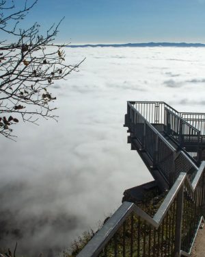 Über dem Nebel.... Part 3 #austria #niederösterreich #visitniederösterreich #loweraustria #hohewand #wieneralpen #skywalk #nebel #fog #outdoor #sunisshining #shootcamper...
