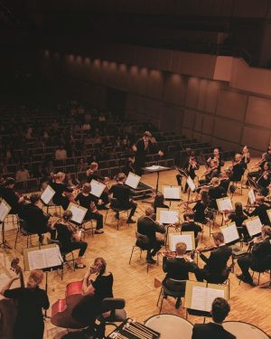 Das Auditorium ist Heimat großer Orchester und vereint Tradition und Moderne. 🎼🎶 #Grafenegg #AuditoriumGrafenegg #orchestraconcert #orchestra #concerthall...