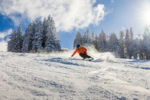Aktivitäten im Winter  Skigebiete: Forsteralm (25 km) Ötscher (42 km) Hochkar (55 km) Sonstiger Wintersport: Schneeschuhwandern ...
