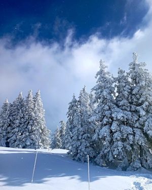 Winter wonderland ❄️ . . #winter#snow#austria#semmering - Stuhleck Semmering