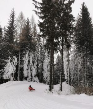 #rodeln #semmering #winter #snow #snowytrees #zauberberg #austria #alps #알프스산맥 #アルプス山脈 #날씨 #雪 - Semmering - Zauberberg