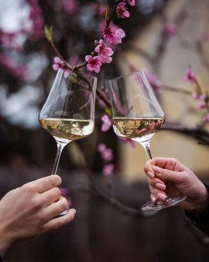 Der Frühling ist da und somit ist wieder Weinfrühling-Zeit! 🍷🌷 Ihr könnt uns im April gleich an...