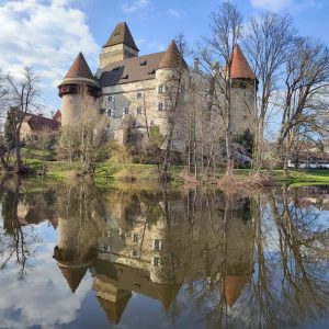 Kost není jediným vodním hradem, který Kinští ve 20. století vyženili. Heidenreichstein (nebo též Kamýk) nedaleko Gmündu...