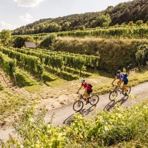 Wasser zu Wein — wir lieben diese Mountainbike-Strecke! 🤩🚵‍♀️ Nicht nur der Titel überzeugt, sondern auch die...