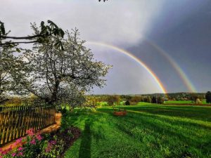 #rainbow #regenbogen #cherry #kirsche #kirschblüte #cherryblossom #landscape #landschaft #skyporn #austria #waldviertel #waldviertelvisualized #waldviertelliebe #litschau #igersaustria #spaziergang #spazieren...