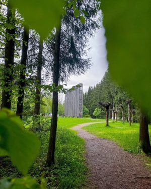 Über den Baumkronen muss die Freiheit wohl grenzenlos sein! 🌲🤗 📍 Himmelsleiter im Naturpark Hochmoor Schrems 📸...