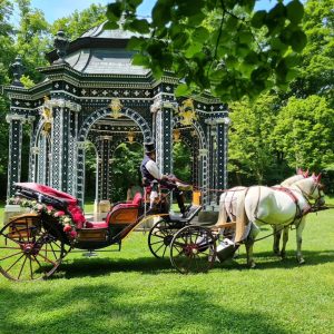 Eine wunderschönen Hochzeit im Schlosspark Laxenburg . . . . #hochzeitsfotografie #hochzeit #laxenburg #schlosslaxenburg #park #schlosspark #grün...