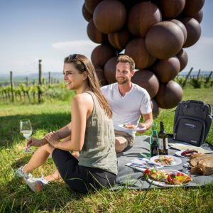 Genussmomente im Grünen - Entdecke die schönsten Picknickplätze in Langenlois! 🌿🌻 Deinen Picknickkorb musst du dabei nicht...