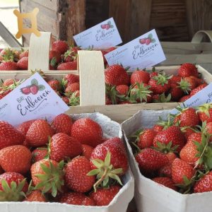 🍓🍓🍓 Erdbeeren aus St. Pölten 🍓🍓🍓 Bereits seit 20 Jahren werden im Familienbetrieb Petschko-Eibel (@pe.ei_kg) Erdbeeren kultiviert....