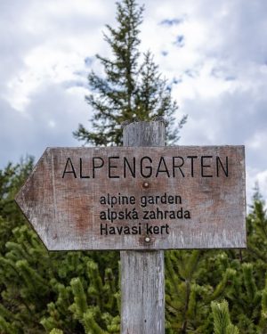 ➡️ Hier gehts zum Alpengarten.🌸 Auf über 4000 m2 breiten sich die schönsten Pflanzenarten aus: Ob Akelei,...