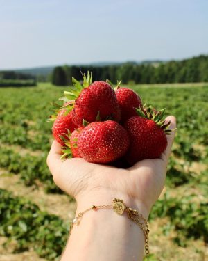 𝗜 𝗹𝗼𝘃𝗲 𝘆𝗼𝘂 𝗕𝗘𝗥𝗥𝗬 𝗠𝗨𝗖𝗛! | 🫶🏼🍓☀️ Was gibt es schöneres, als eine Hand voll frische Erdbeeren...