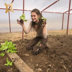 Gemüseanbau im kargen Waldviertel 👩‍🌾 Martina Grill, gelernte Gärtnerin und Heinz Wagner, gelernter Landwirt, haben im Gemüse...