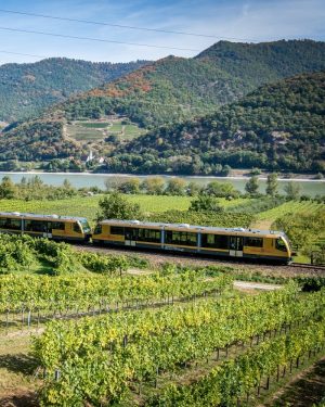 Wusstest du, dass es richtig schöne Lokalbahnen gibt, mit denen du Niederösterreich erkunden kannst? 🚞 Mit einigen...