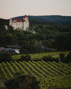 Die Burg Liechtenstein ist eine mittelalterliche Burg, die sich in der Nähe von Maria Enzersdorf befindet. 🏰...
